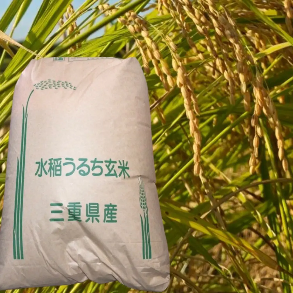 冷めても美味しい！お米の人気種類・品種ランキング2025｜産直アウル売れ筋からTOP5を厳選！【保存版・最新】 - アウルのテーブル